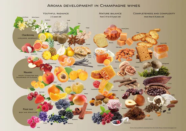 LEARN HOW TO TASTE WINE LIKE A PRO FROM OUR IN-HOUSE SOMMELIER!