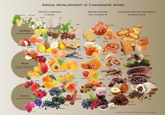 LEARN HOW TO TASTE WINE LIKE A PRO FROM OUR IN-HOUSE SOMMELIER!