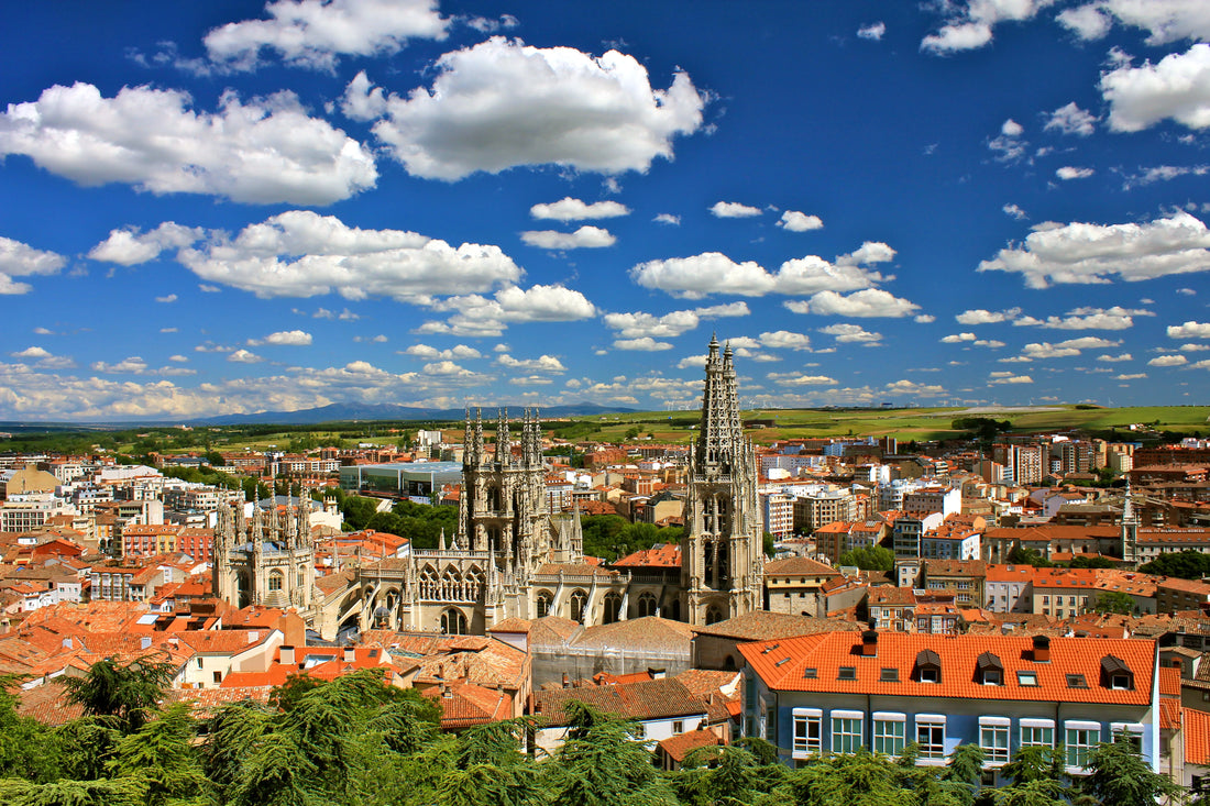 Castilla y Leon Wine Region