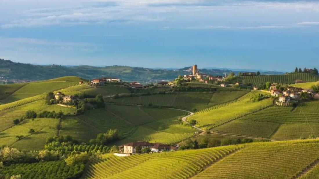 Piedmont Wine Region
