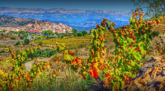 Priorat Wine Region