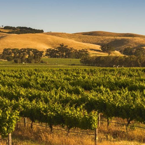 Caillard, Barossa Valley Mataro 2017