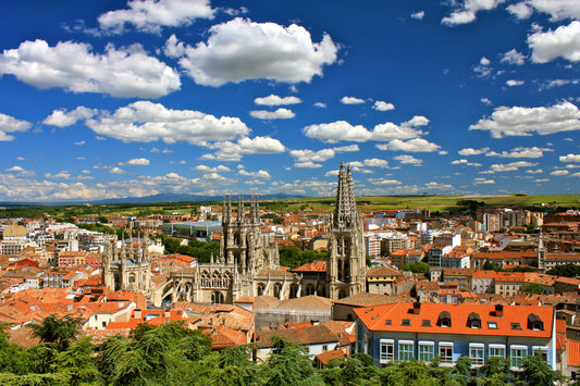 Castilla y Leon Wine Region
