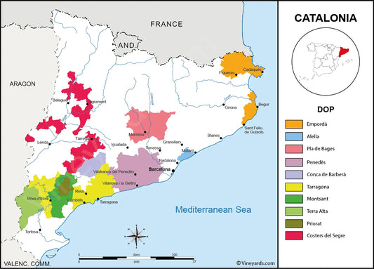 Catalonia Wine Region