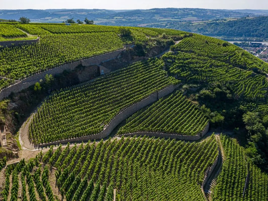 Rhone Valley Wine Region