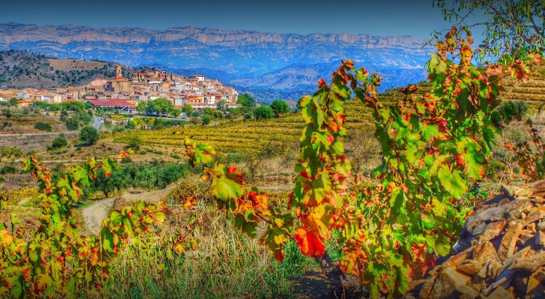 Priorat Wine Region