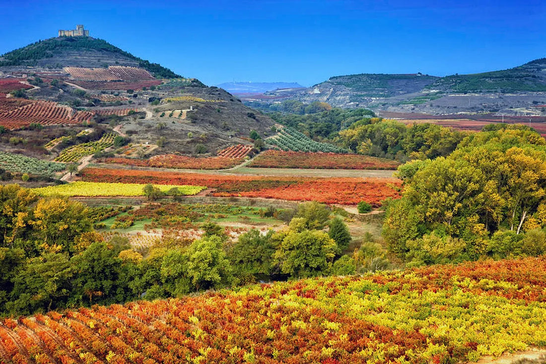 La Rioja Wine Region