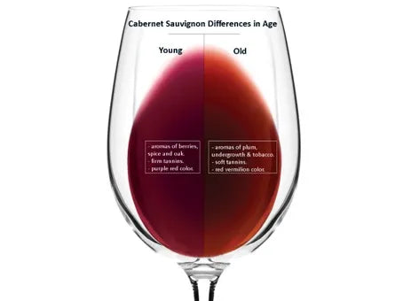 Learn how to taste Wine like a pro from our in-house sommelier!