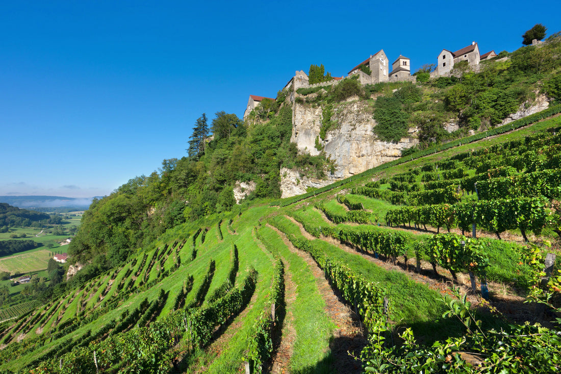 Jura, Bugey & Savoie Wine Regions