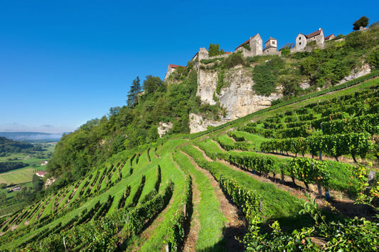 Jura, Bugey & Savoie Wine Regions