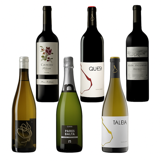 Catalonia 6-Bottle Wine Bundle