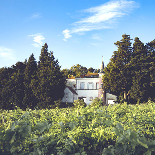 Chateau de la Font du Loup, Chateauneuf-du-Pape Blanc 2019